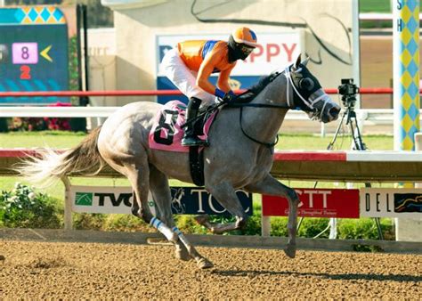 drf bets classic|free past performances horse racing nation.